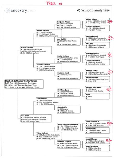 wilson family genealoy history.